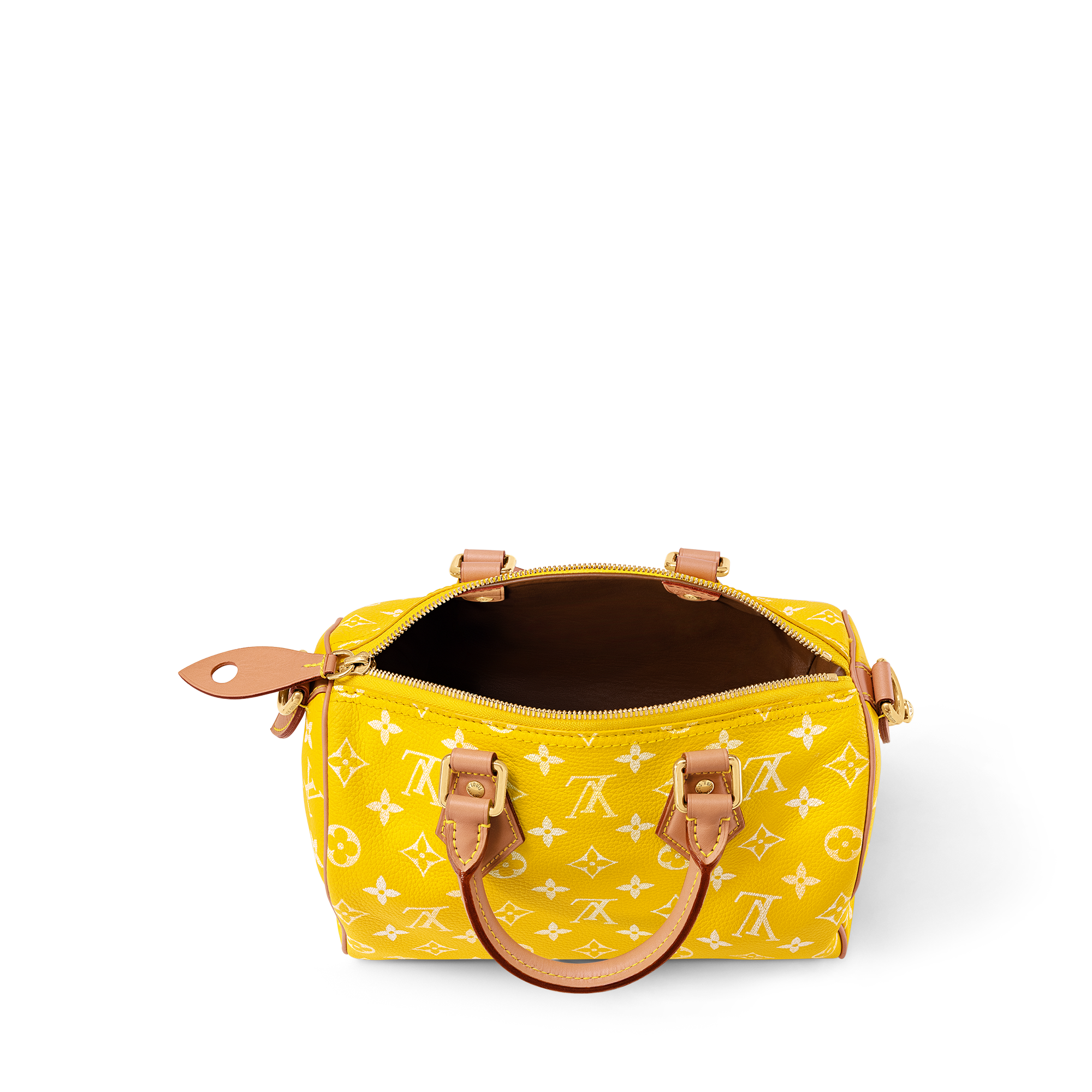 Speedy P9 Bandoulière 25 H40 - Les Extraordinaires - Leather Goods